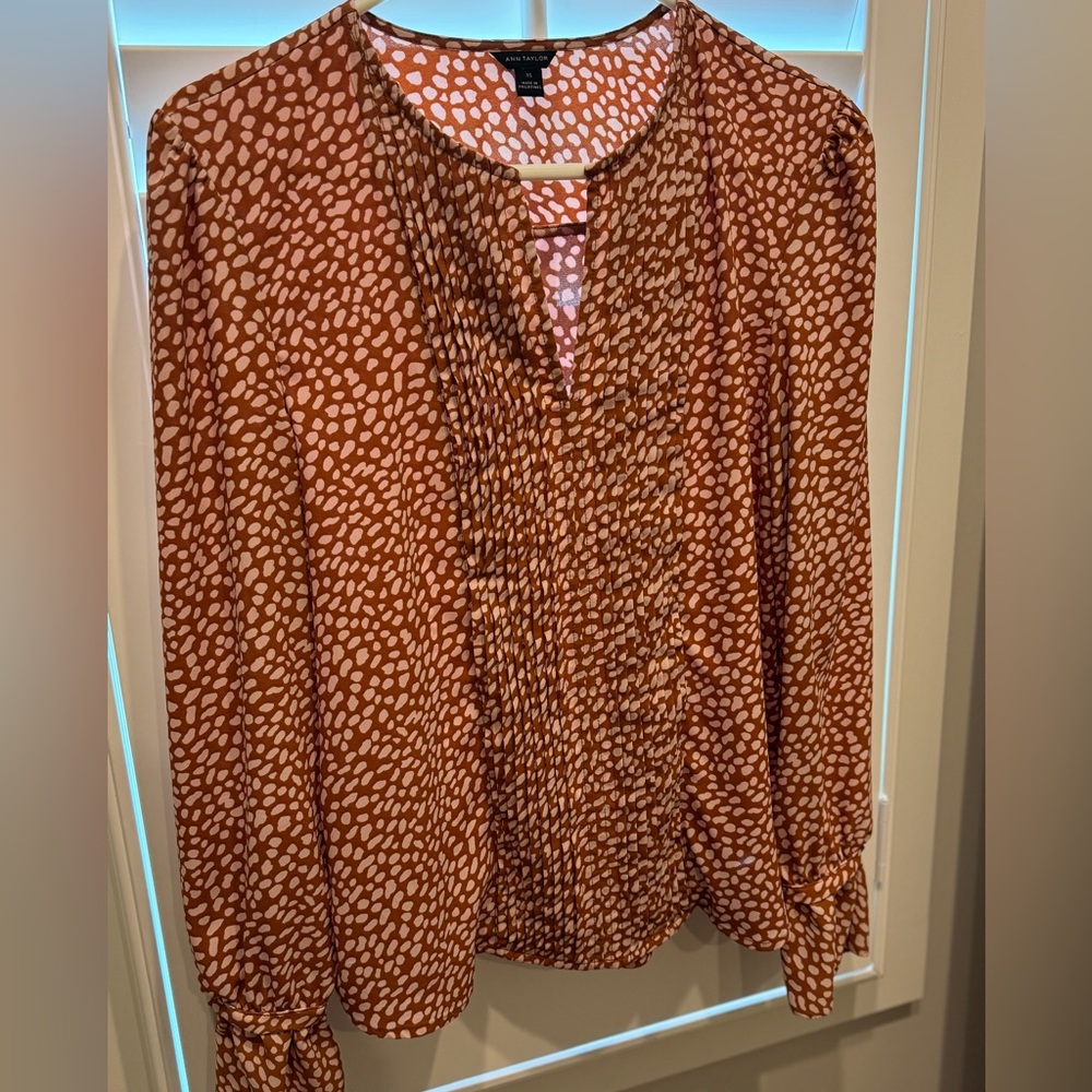 Ann Taylor blouse xs